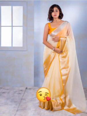 EXCLUSIVE SOLID NAYLON ORGANZA SAREE