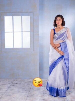 EXCLUSIVE SOLID NAYLON ORGANZA SAREE