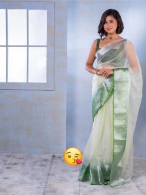 EXCLUSIVE SOLID NAYLON ORGANZA SAREE