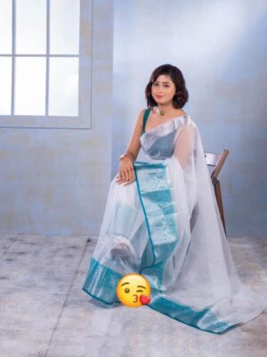 EXCLUSIVE SOLID NAYLON ORGANZA SAREE